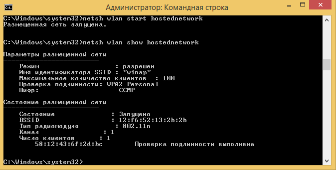 Windows 8.1, командная строка, команда netsh wlan show hostednetwork