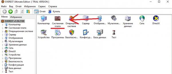 Информация о системной плате в программе Everest