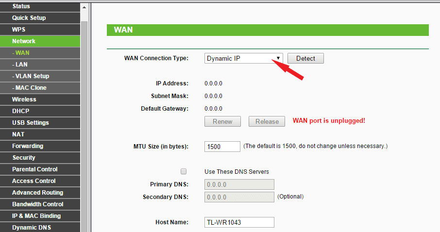 Выбор динамического IP-адреса