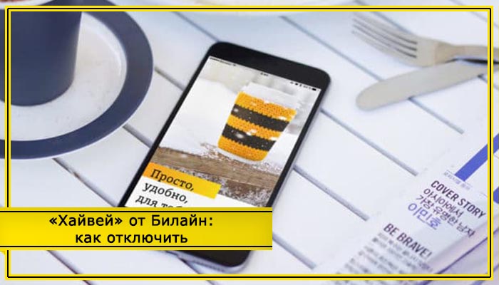 билайн хайвей интернет