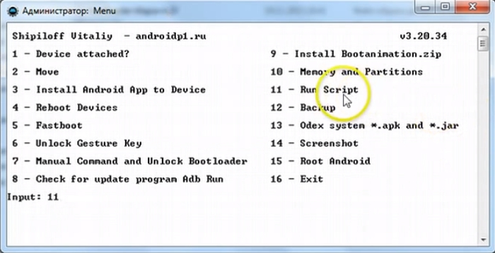 Run script