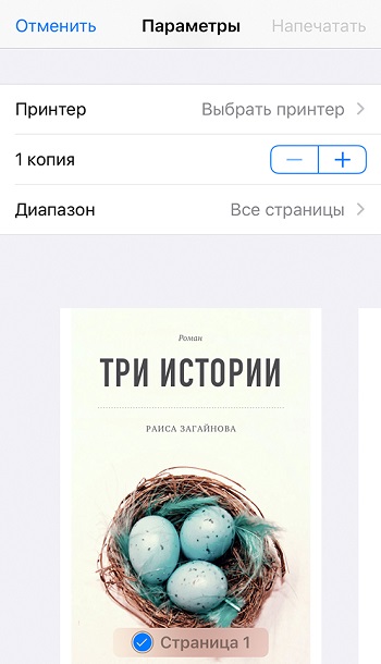 Меню распечатки