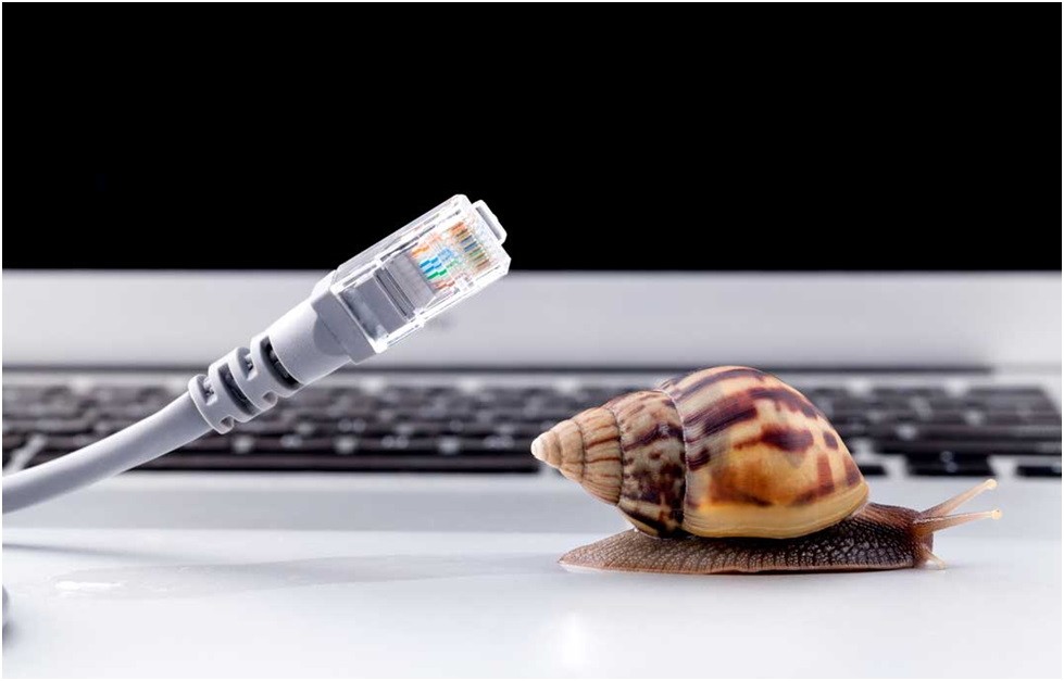 slow-inet